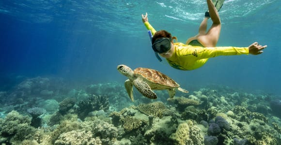 Cape Tribulation Ocean Safari - Great Barrier Reef Adventure