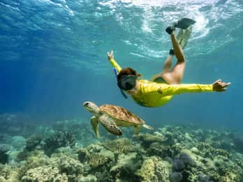 Cape Tribulation Ocean Safari - Great Barrier Reef Abenteuer