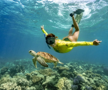 Cape Tribulation Ocean Safari - Great Barrier Reef Adventure