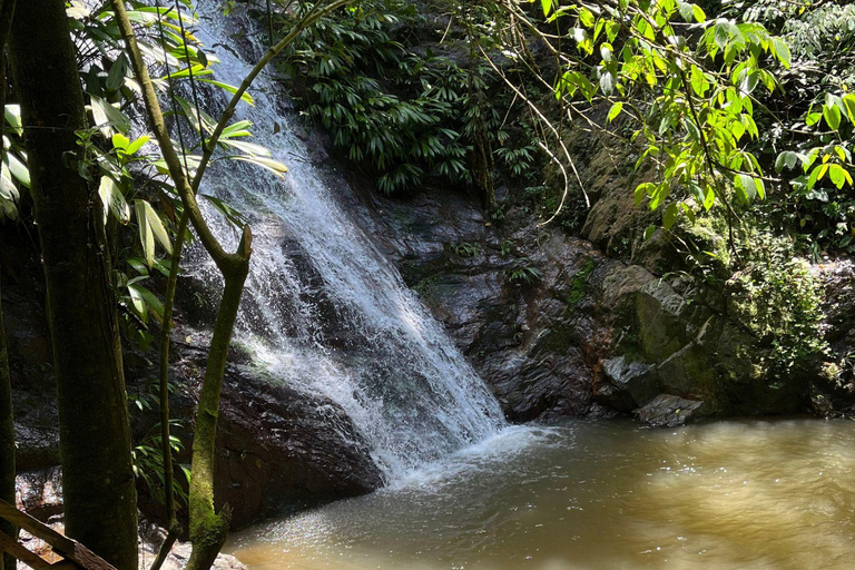 Minca: Cascada escondida + Taller de Café y Cacao y Mirador