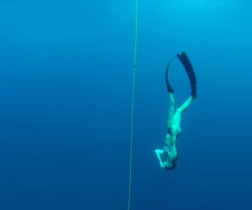 Tamarindo: Descubre la experiencia del buceo a pulmón para principiantes