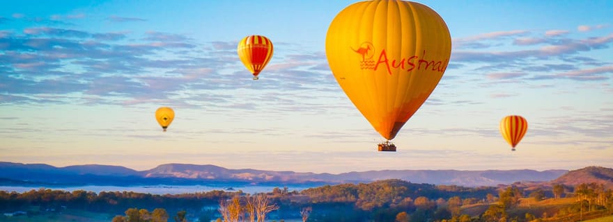 Gold Coast : vol en montgolfière, petit-déjeuner au vignoble et alpaga