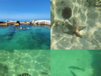 St. Pete Beach: Private Bootstour zum Wassersport und Schnorcheln