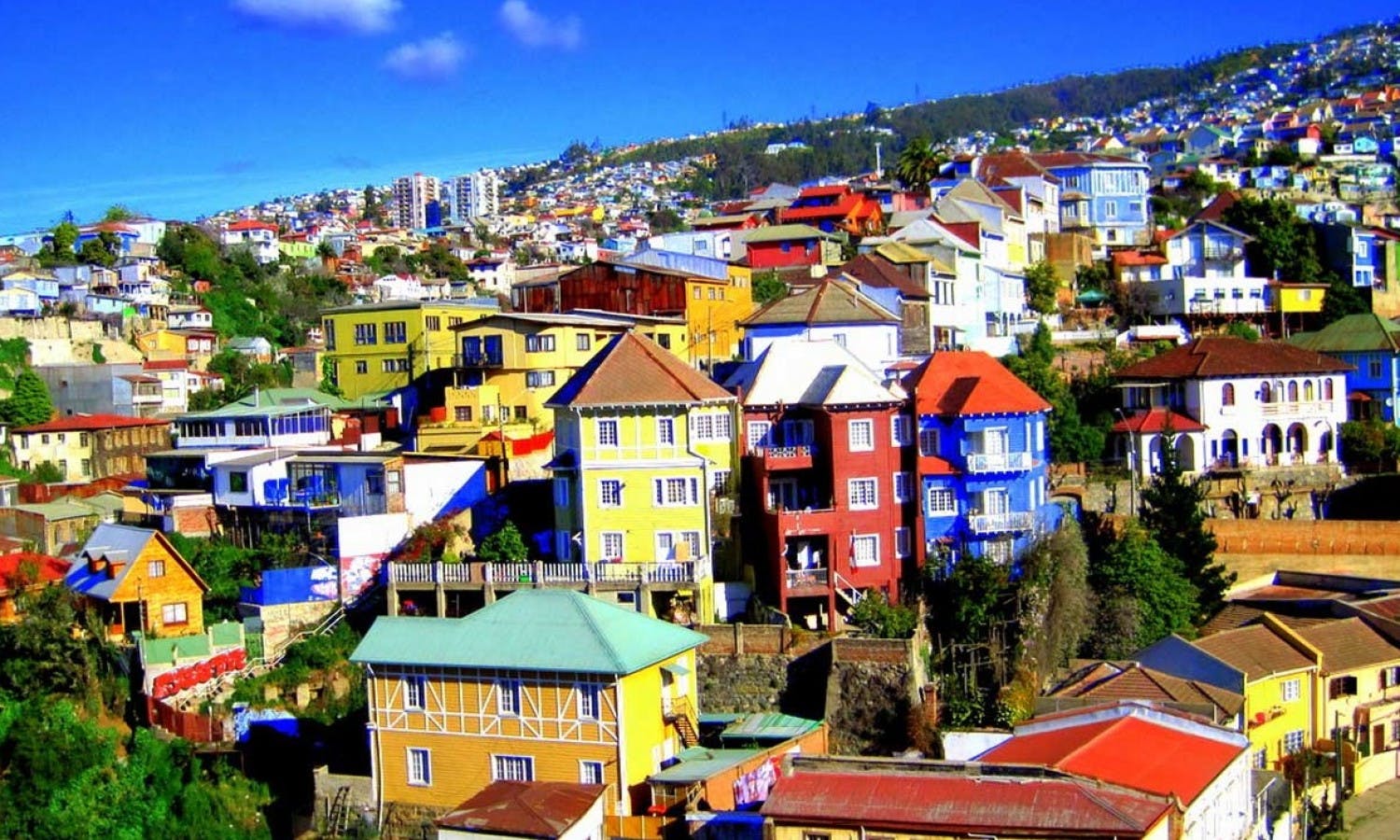 Valparaíso: Ganztagestour private Tour mit Standseilbahnfahrt
