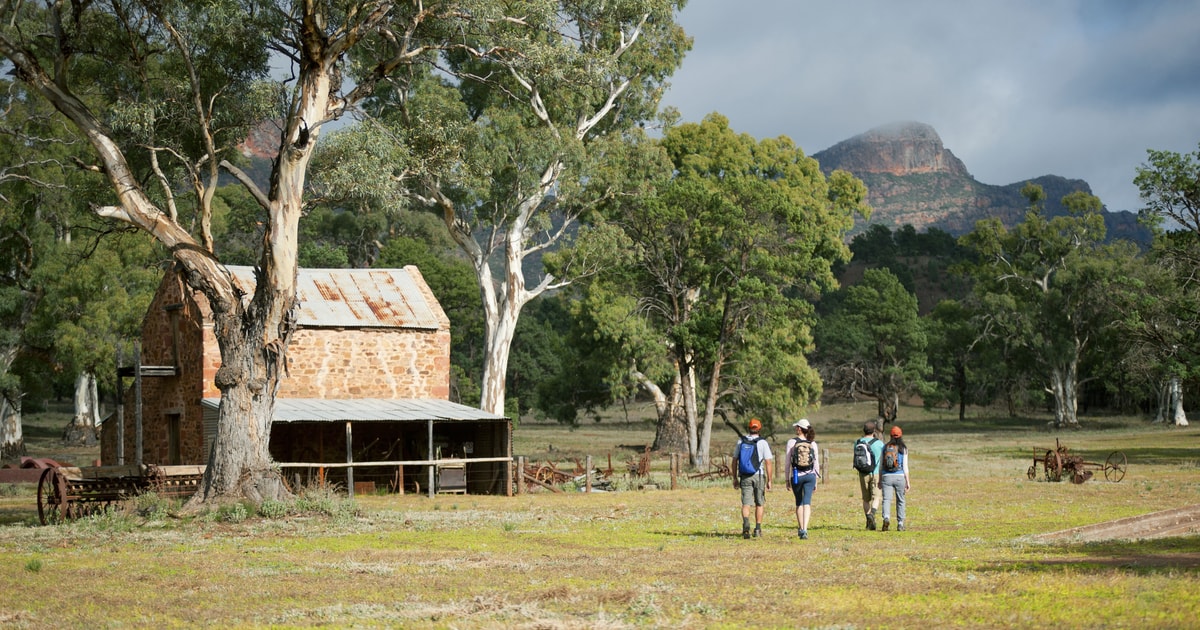 From Adelaide 5Day IkaraFlinders Ranges Hiking Tour GetYourGuide