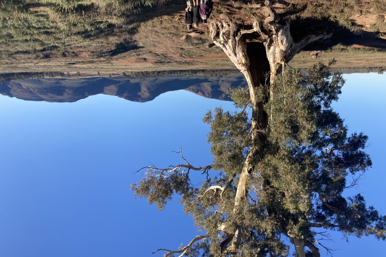 Z Adelajdy: 5-dniowa wycieczka piesza po pasmach Ikara-FlindersUdostępnij dla bliźniaków