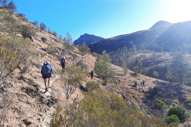 From Adelaide: 5-Day Ikara-Flinders Ranges Hiking Tour Twin Share