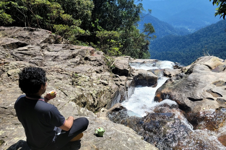 Von Danang Hoian: Bach Ma National Park Tagesausflug mit AbholungVon Hoi An: Bach Ma National Park Trekking 1 Tag mit Abholung
