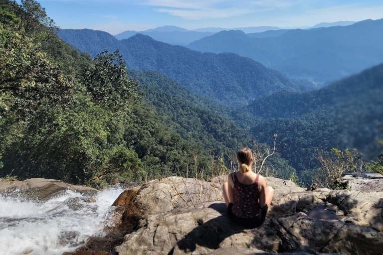 Z Danang Hoian: Jednodniowa wycieczka do Parku Narodowego Bach Ma z odbiorem