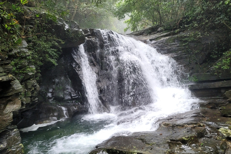 Z Danang Hoian: Jednodniowa wycieczka do Parku Narodowego Bach Ma z odbiorem