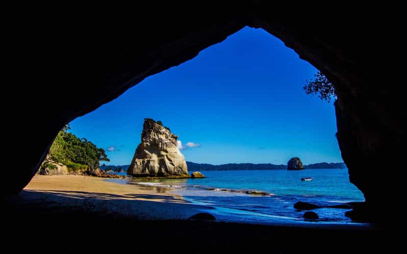 From Auckland: Cathedral Cove & Hot Water Beach Tour