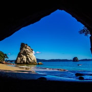 From Auckland: Cathedral Cove & Hot Water Beach Tour
