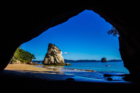 Från Auckland: Cathedral Cove &amp; Hot Water Beach Tour