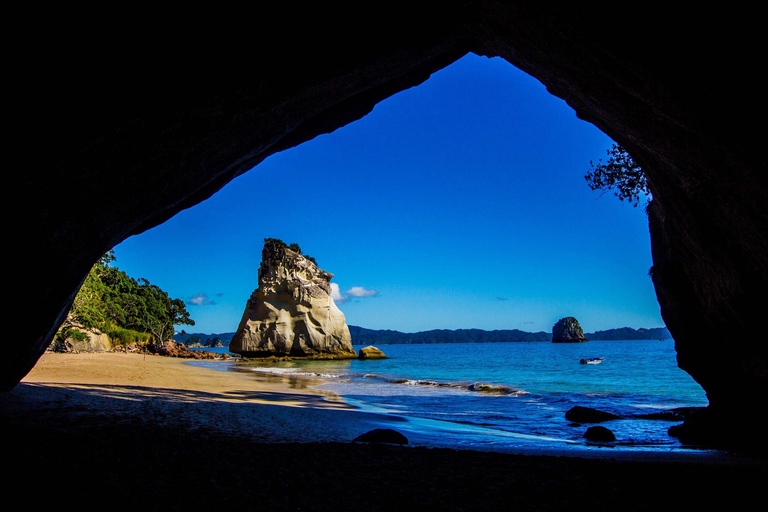 Från Auckland: Cathedral Cove &amp; Hot Water Beach Tour