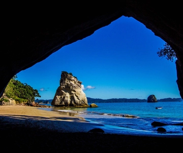 Vanuit Auckland: Cathedral Cove & heet water strandtour