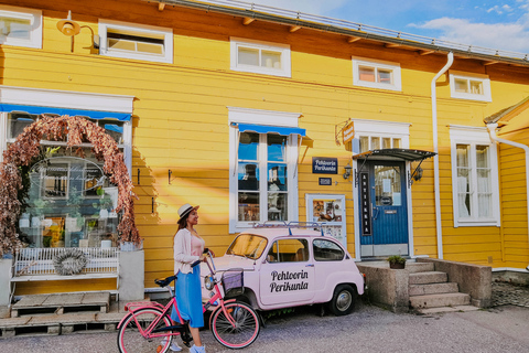 Desde Helsinki: Excursión privada de un día a Porvoo