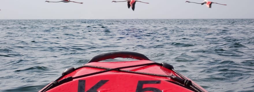 Journée de la dune en kayak