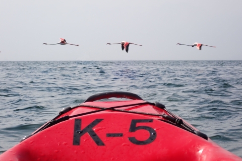 Journée de la dune en kayak