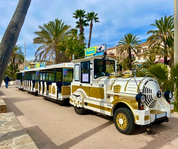 The Little Train of Lavandou's beaches