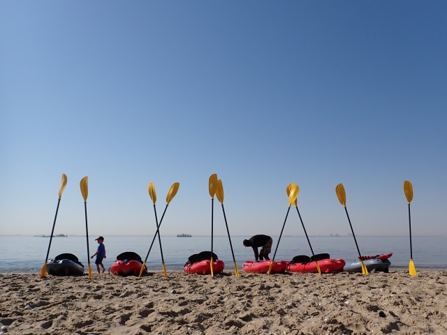 Visit Pelican Point Kayak with Seals Experience in Mondesa