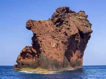 Cargèse: crociera nella grotta marina con nuoto e snorkeling con fermata Girolata
