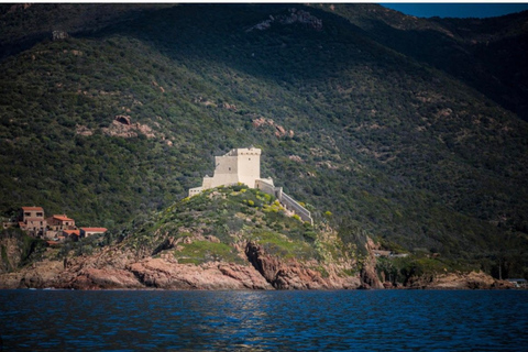 Cargèse: zwem- en snorkelcruise in de zeegrot met halte Girolata