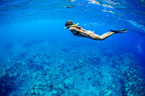 Heraklion: Dia Island Luxus-Segelausflug mit Mahlzeit &amp; Getränken