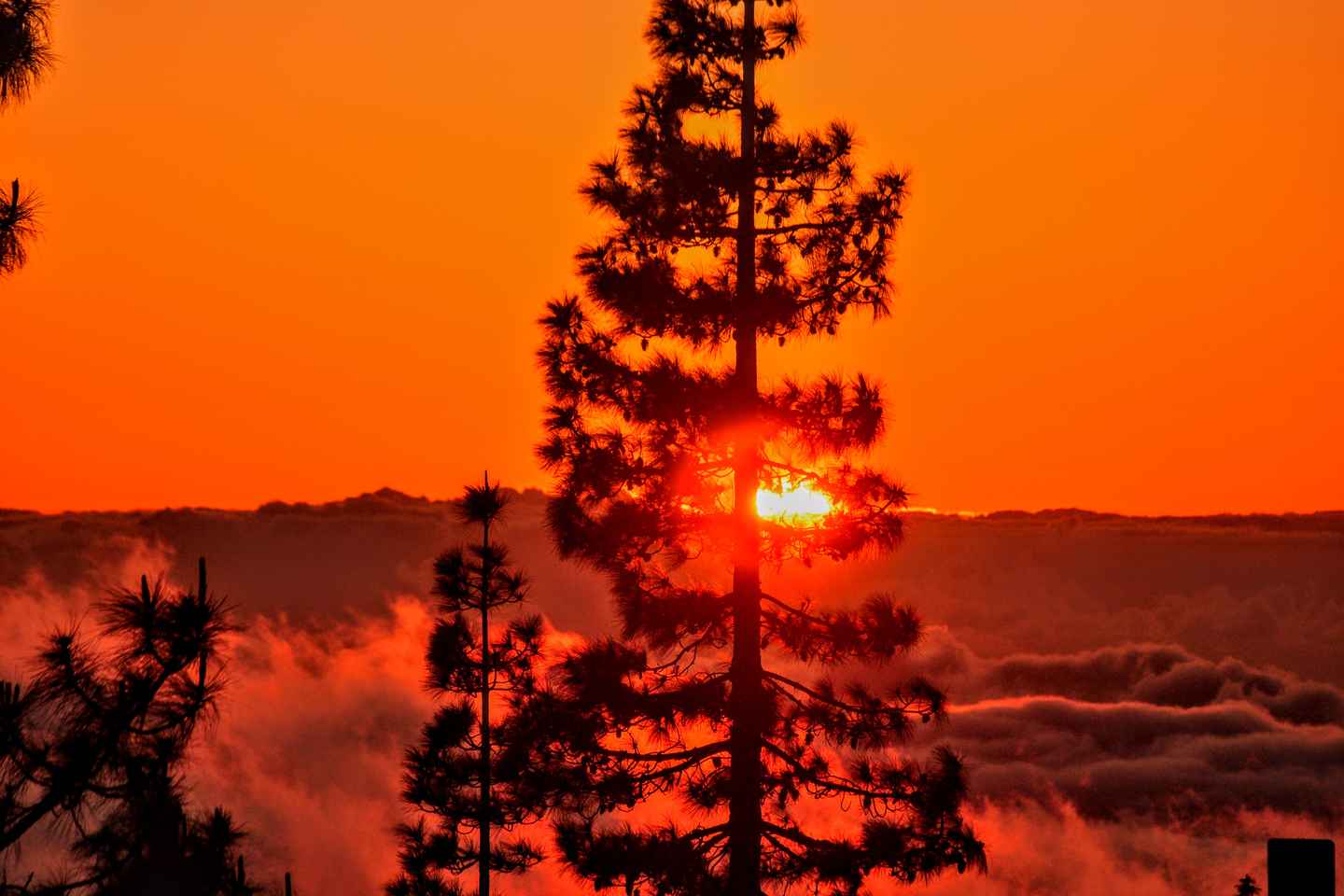 Tenerife: Teide National Park Sunset & Stargazing Experience