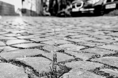 Berlin: Neukölln Mysterious Self-Guided Neighbourhood Walk