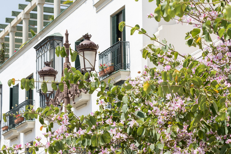 Seville: Guided Walking Tour of the Santa Cruz District