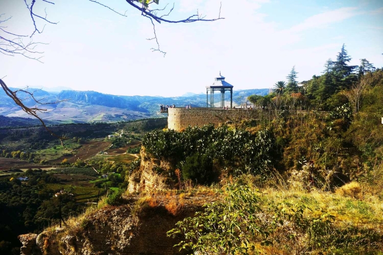 Z Marbelli: Prywatna wycieczka Ronda i Setenil de las bodegas