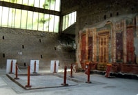Torre Annunziata, Oplontis Entry Ticket with Audio Guide - Housity
