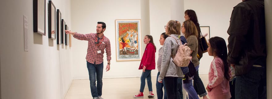 San Antonio : Ticket d'entrée au musée d'art de San Antonio