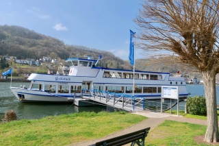 Alken: Oberfell and Moselkern Sightseeing Cruise