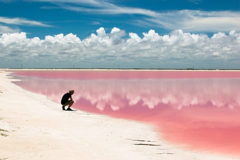 Cancun: Las Coloradas and Rio Lagartos Pink Lakes Day Trip