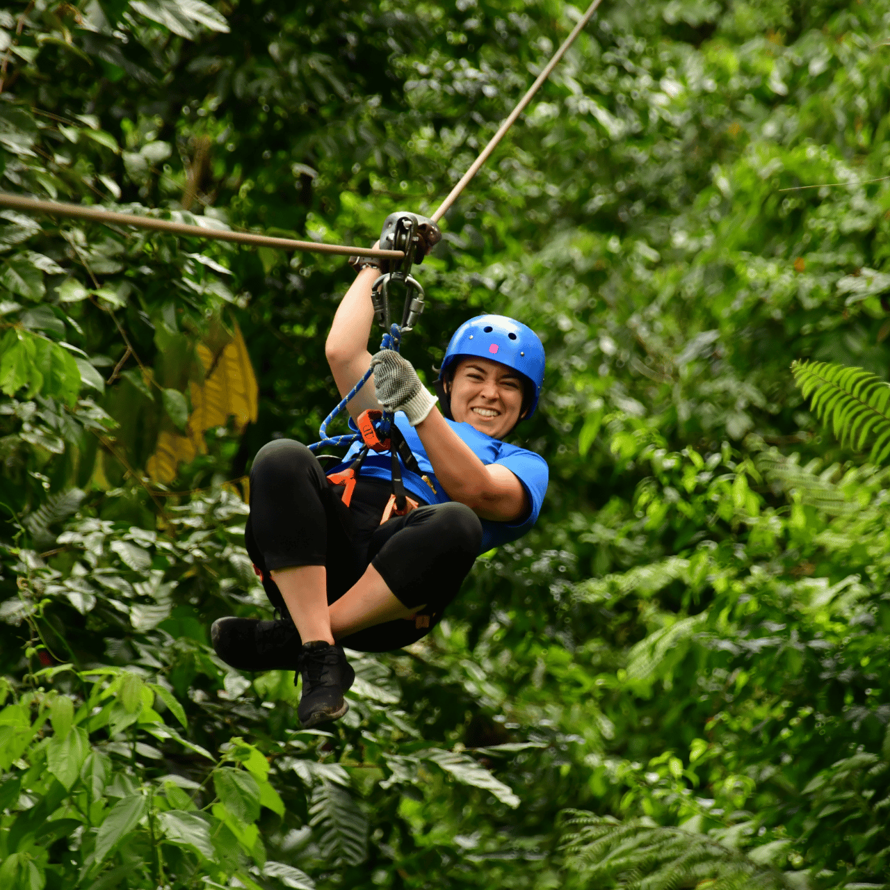 La Fortuna: 12 Canopy Zip Lines und geführte Waldwanderung