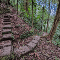 La Fortuna, 12 linee di zip del baldacchino e Forest Walk Guided Trip - Housity