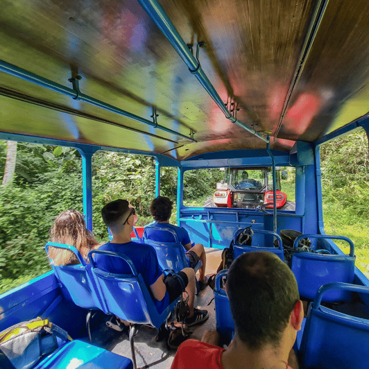 La Fortuna Tirolinas Y Paseo Guiado Por El Bosque Getyourguide