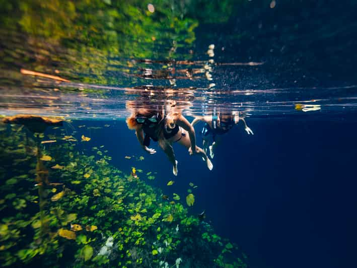 parque xenotes cancun