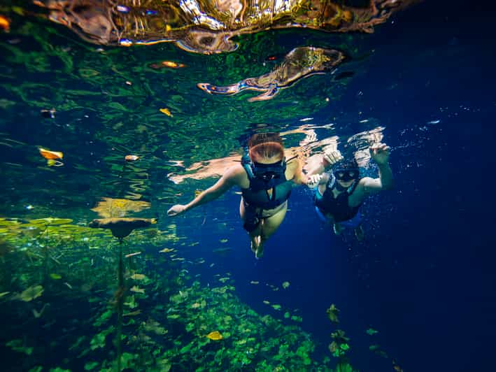 xenotes park cancun