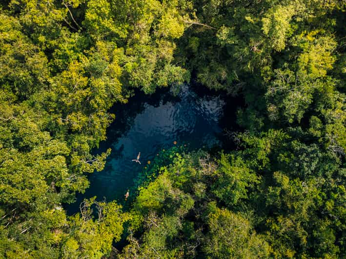 Xenotes Park, Natural Ecosystem | GetYourGuide