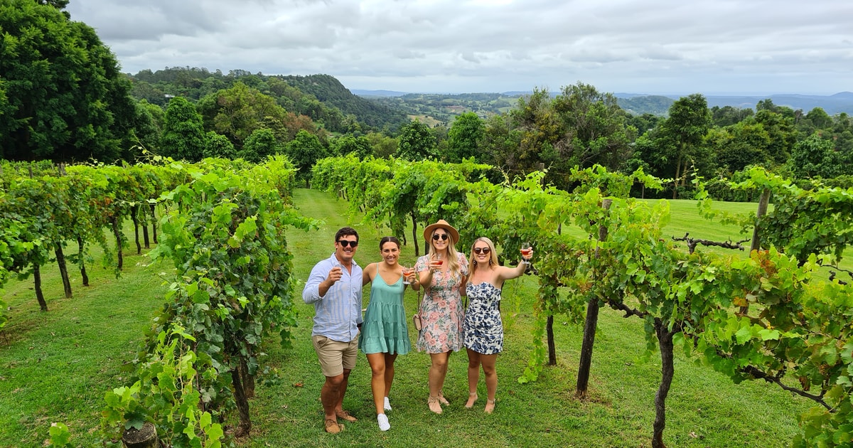 Noosa Heads Local Gin and Wine Tasting Tour with Lunch GetYourGuide