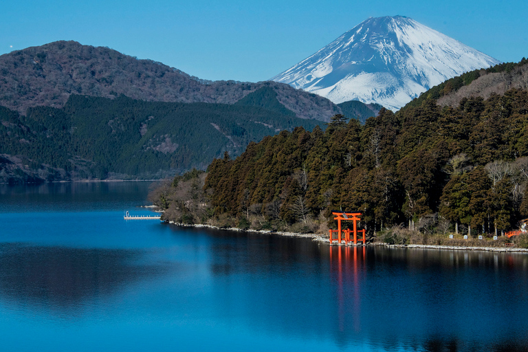 Depuis Tokyo : Excursion privée d'une journée à Hakone