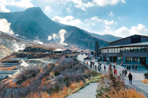 Depuis Tokyo : Excursion privée d'une journée à Hakone