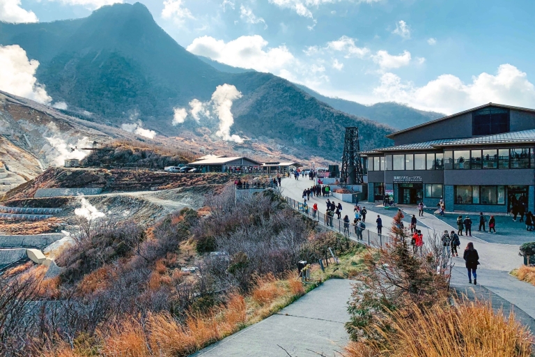 Von Tokio aus: Hakone Private Sightseeing Tagestour