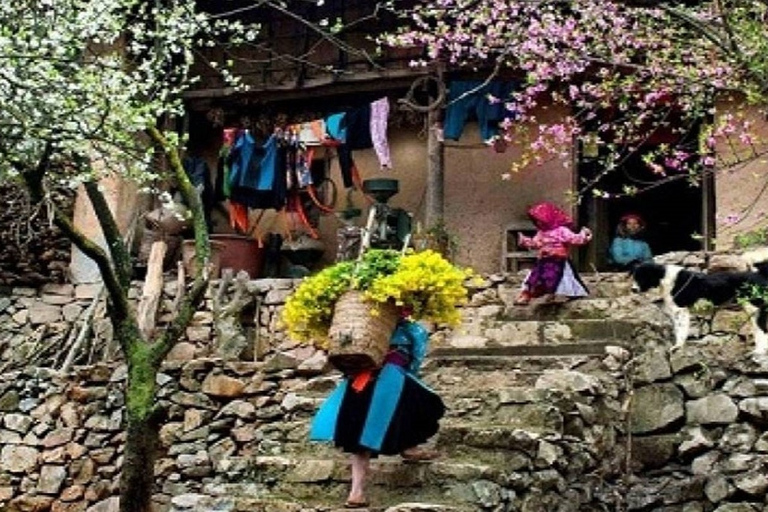 2-Day Sapa Trekking Village & Home-Stay