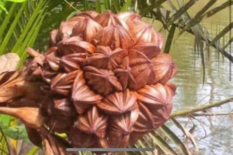 Ba Tran: passeio de barco Hoi An Basket na floresta de cocos