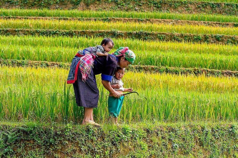 Da Hanoi: Trekking di 3 giorni a Sapa con guida, alloggio in famiglia e pastiDa Hanoi: Sapa Trek di 3 giorni con guida, alloggio in famiglia e pasti