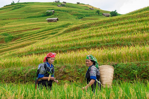 Da Hanoi: Trekking di 3 giorni a Sapa con guida, alloggio in famiglia e pastiDa Hanoi: Sapa Trek di 3 giorni con guida, alloggio in famiglia e pasti