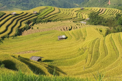 Senderismo de 3 días por Sapa con guía local, alojamiento en familia y comidas